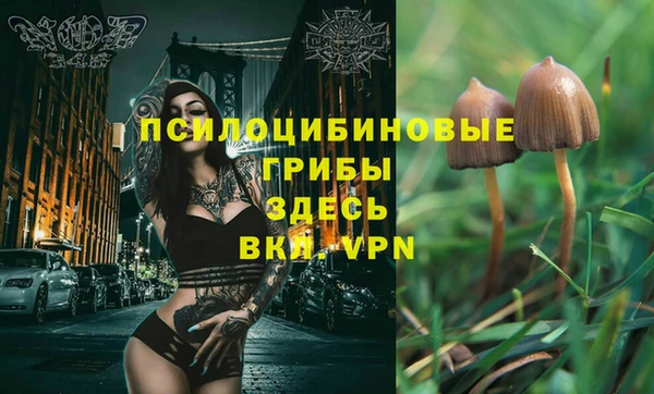 spice Армянск