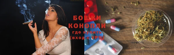 шишки Инта