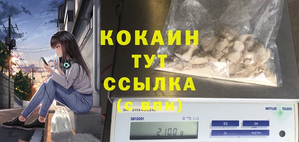 а пвп мука Инсар